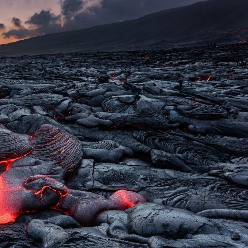Volcanic soils of Los Valles are rich in minerals, helping agave develop deeper, more concentrated flavor as it matures