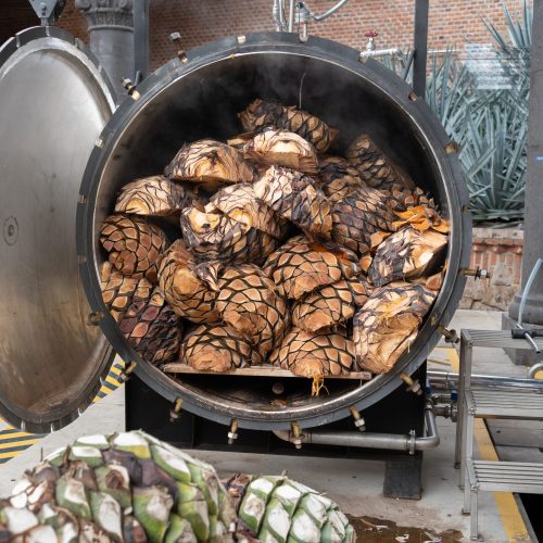 Inside these ovens, agave hearts are gently cooked to release their natural sweetness and deepen flavor