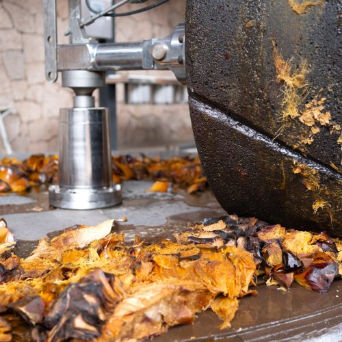 After cooking, agave is crushed to release rich juices—the foundation for fermentation and flavor
